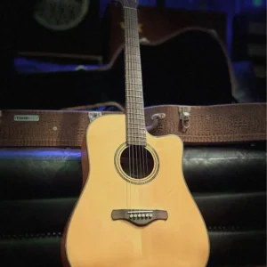 Ibanez Artwood AW3010-CE