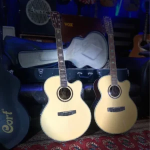 Cort CJ-10X Pair 6 & 12 string (as new)