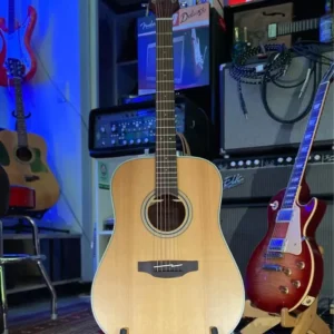 Takamine GD 20NS