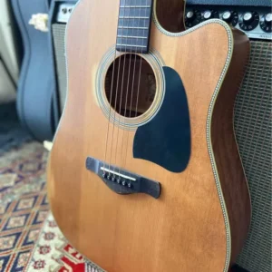 Ibanez AVD11ce thermo aged Dreadnought