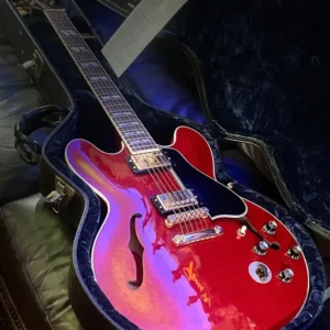 Gibson ES-345 Stereo “Back to the Future”