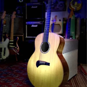 Tanglewood TSR3 Master Design by Michael Sanden