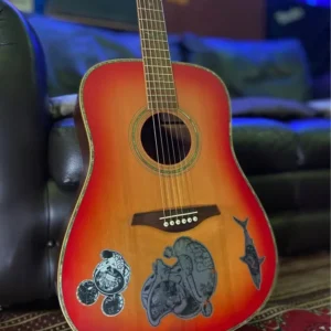 Vintage dreadnought acoustic