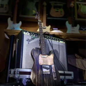 “BarnCaster” custom Tele build from Junkyard Guitars