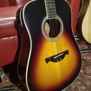 Crafter D8 acoustic-electric guitar with hard case