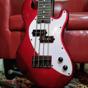 Kala U-Bass electric bass guitar