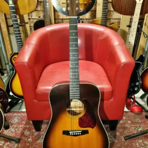 1984 Ibanez V300 acoustic guitar and case