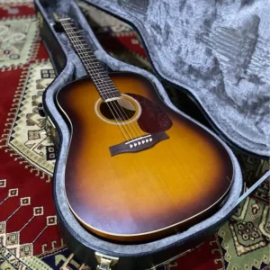 Seagull Entourage rustic (Canada)