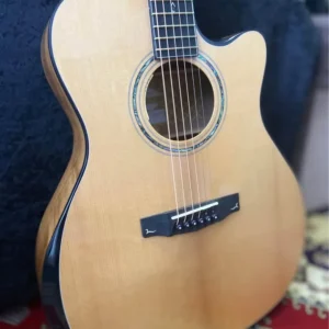 Cort Gold Edge Series