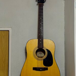 Cort AD810E OP Semi-Acoustic guitar