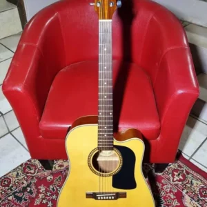 Washburn D10ce acoustic-electric guitar with hard case