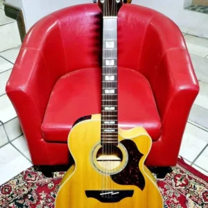 Takamine EG523sce acoustic-electric 12 string guitar