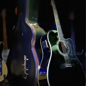 Epiphone “Jane” Dave Navarro signature