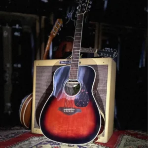 Yamaha FG-830 with hard case