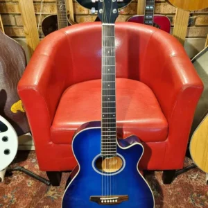 Aria Elecord acoustic-electric guitar 🔥