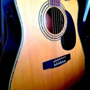Ultra Versatile Cort Acoustic Electric Guitar