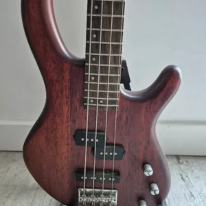 Cort Action 4-string bass guitar