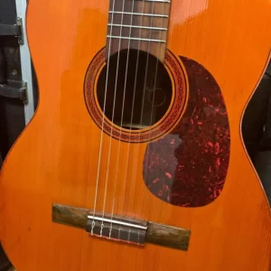 Di Giorgio Classical Guitar outstanding condition