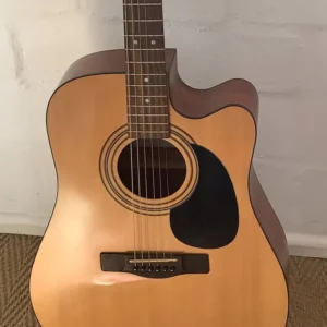 LEVIN W19 CE NS with Hard Case
