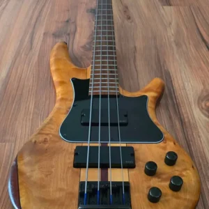 1990s Custom Shop Ibanez Master Bass